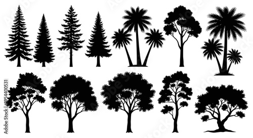 Diverse Tree Silhouettes: Conifers, Palms, and Deciduous Varieties