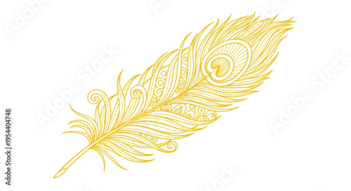 Golden Peacock Feather Illustration with Intricate Patterns