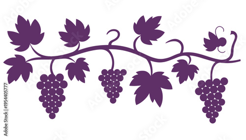 A purple grape vine silhouette with leaves and clusters of grapes