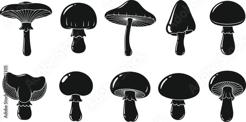 Vector illustration of ten mushroom silhouettes, diverse cap shapes, gills, stems, black and white design, biology concept, mycology artwork, educational nature theme