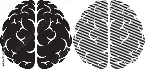 Contrast between a simplified and detailed representation of human brain hemispheres