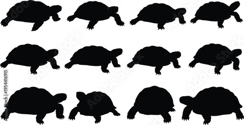 Tortoise silhouette pattern, walking tortoise icons, animal repetition design, wildlife vector set, turtle shape grid, minimalist reptile layout