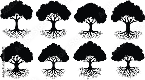 Tree silhouette vector set, black isolated botanical shapes, symmetrical canopy and root system, stylized nature icons for design, ecology, and education