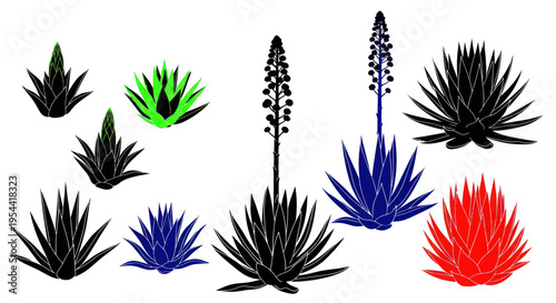 Collection of Stylized Succulent and Agave Plants in Silhouette and Color