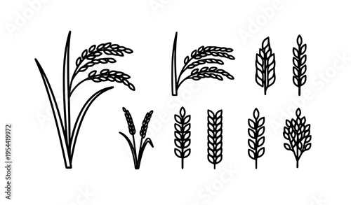 Modern rice plant icon set with simplified stalks and grain panicles in clean black and white vector design
