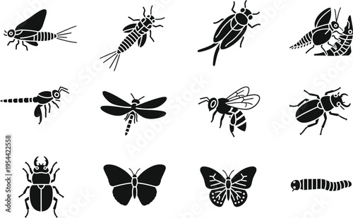 Set of Insect and Bug Silhouettes Including Butterfly, Beetle, Dragonfly, and Bee Icons Isolated on White for Pest Control Branding, Entomology Infographics, and Nature Conservation Design