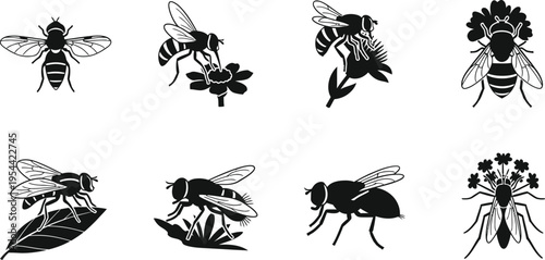 Bee and Pollinator Insect Silhouette Set with Honeybee, Wasp, and Hoverfly Icons on Flowers for Organic Honey Branding, Agriculture Infographics, and Environmental Sustainability Design
