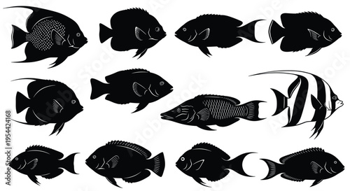 Black and white vector silhouette collection of various tropical reef fish species including angelfish and tangs isolated on a clean white background for design