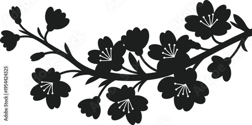 Black cherry blossom branch silhouette with blooming sakura flowers, elegant Japanese floral design, minimalist botanical illustration isolated on light background for decoration and creative projects