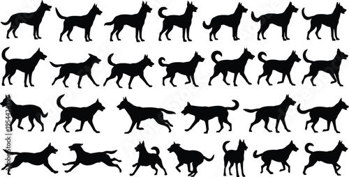Dog silhouette collection with different walking running standing poses isolated vector set of domestic pet animals for design elements illustration