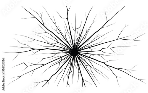 Abstract Black Radial Lines: An abstract depiction of intricate black radial lines emanating from a central point, creating a captivating visual effect.