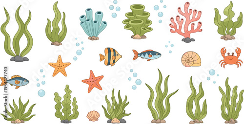 Underwater Sea Plants and Marine Elements Collection with Seaweed, Coral Reefs, Starfish, Tropical Fish, Crab, Shells and Ocean BubblesUnderwater Sea Plants and Marine Elements Collection with Seaweed