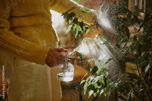 Senior Caucasian woman spraying water on indoor plant using glass spray bottle, hand visible holding mister while misting green leaves, sunlight illuminating water droplets in home setting