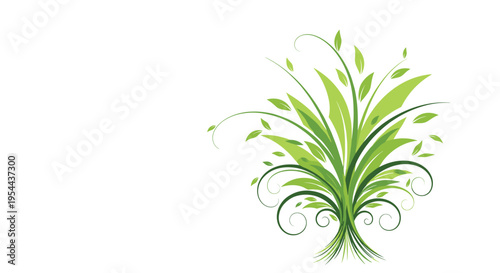 Abstract green plant illustration with long leaves and curly vines on a white background perfect for organic or natural themes.