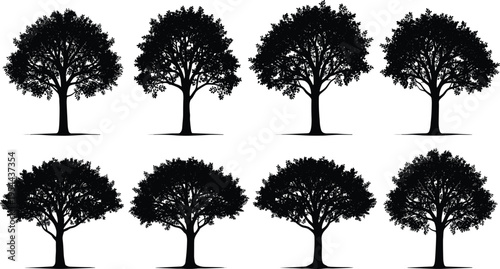 Black and white vector illustration of eight deciduous tree silhouettes, diverse canopy shapes, trunk variations, artistic landscape design, botanical diversity concept
