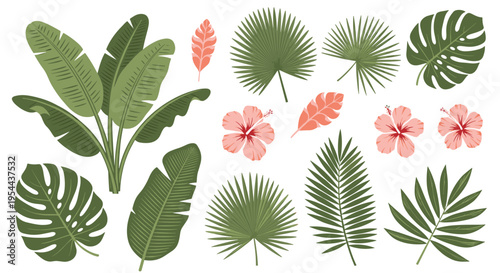 Collection of various green tropical leaves and pink hibiscus flowers isolated on a white background for exotic summer designs.