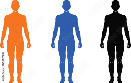 Human body silhouette set with knee joint highlight, male anatomy figure collection, medical illustration, orthopedic pain concept, vector isolated design