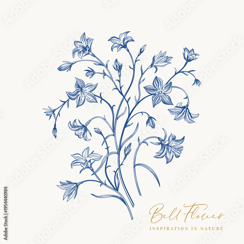 Elegant hand-drawn bell flower bouquet in navy blue. Minimalist botanical illustration perfect for branding, packaging, stationery, and decor.