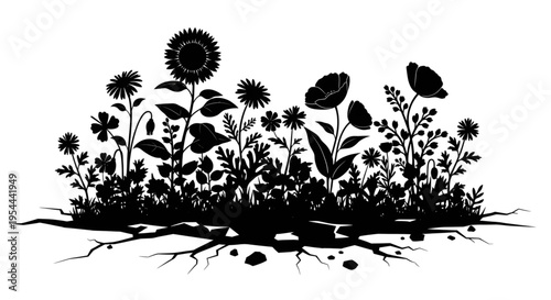 Silhouette of a diverse garden of wildflowers blooming in dry cracked soil representing environmental resilience