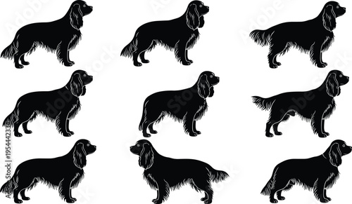 Spaniel dog silhouette set featuring standing poses of long haired breed for pet design, animal illustration and canine collection concept