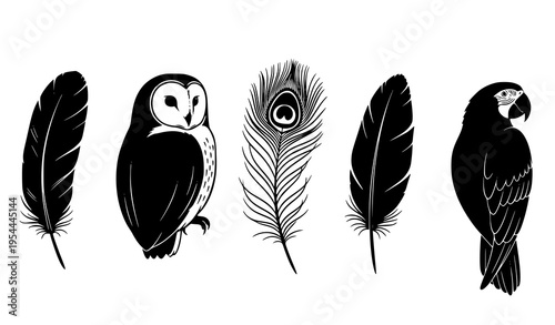Bird feather vector set with eagle, owl, peacock, crow, hawk, and parrot silhouettes