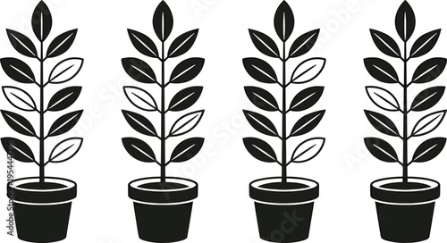 Four identical potted plants lined up in a row, depicted in a simple black and white illustration style