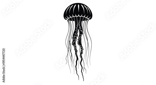 A striking black and white illustration of a jellyfish with flowing tentacles