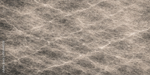 Abstract a top-down aerial view of a textured pattern of abstract networks of filaments and strands, suggestive of complex webs or intricate structures.