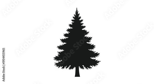 A dark detailed silhouette of a coniferous evergreen tree silhouette