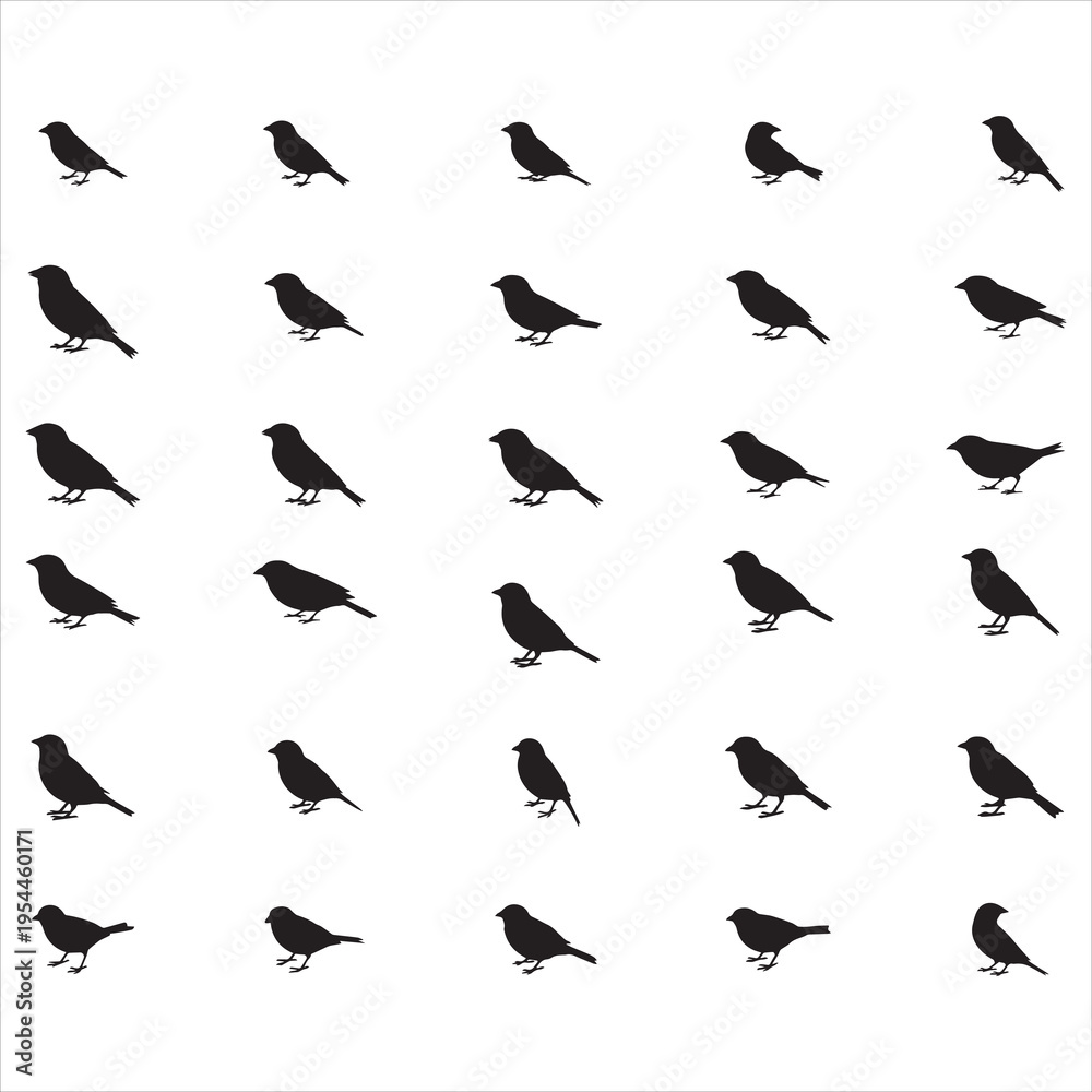 Fototapeta premium Canary Birds Svg Bundle