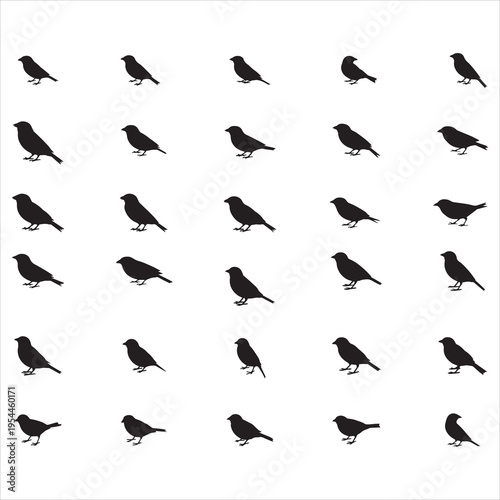 Canary Birds Svg Bundle