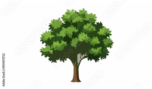 Realistic green tree vector illustration isolated on white background for eco friendly nature and sustainability design