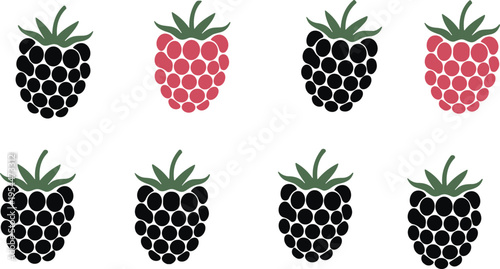 Raspberry berry icon set vector illustration, black and red fruit symbols with green leaves, fresh organic berry collection for food, dessert and farm design