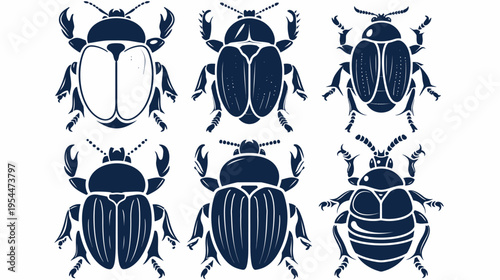 Six beetle illustrations, in dark blue ink, arranged on a white background