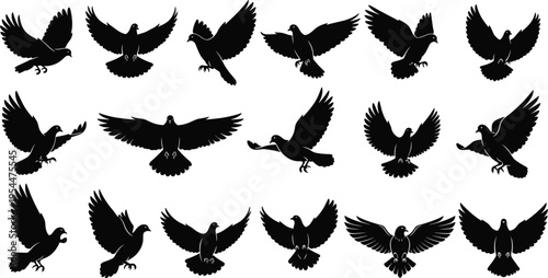 Flying bird silhouettes set featuring pigeons and doves in various wing positions isolated in elegant black vector illustration