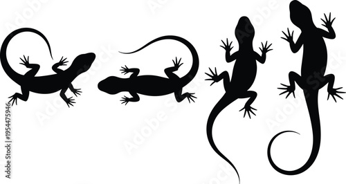 Four various black lizard silhouettes isolated on white background depicting creeping running climbing and standing poses for nature wildlife reptile and graphic design concepts