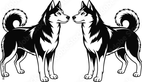 Symmetrical Siberian Husky dog vector illustration, black and white mirrored design, detailed canine mascot artwork, isolated graphic for logo branding, tattoo, stencil, and decorative use