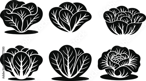 Set of cabbage and lettuce vegetable silhouette icons, black leafy greens illustrations for organic food, farm produce, vegan salad ingredient design collection pack
