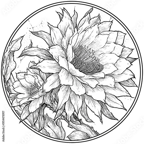 Intricate floral illustration of blooming flowers within a circular border, sketched style