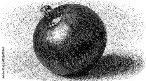 Pen-and-ink drawing of round fruit or vegetable with stippled background and texture