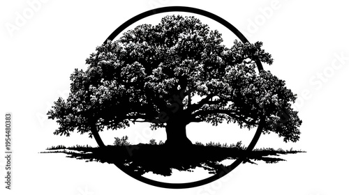 Black and white silhouette of a large tree inside of a circle, isolated on white