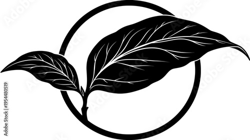 Black and white graphic shows two leaves nestled in a ring