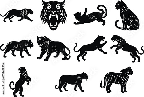 Tiger silhouette collection with roaring head and different big cat poses, wild predator animal icons isolated for wildlife illustration, tattoo, logo and design