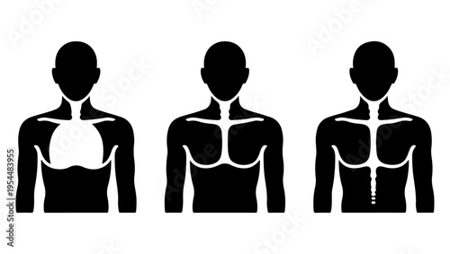 Silhouettes of three human torsos showing varying chest and ribcage structures