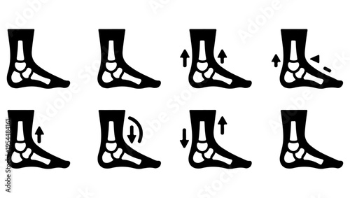 Anatomical illustration depicting various foot and ankle joint movements and positions