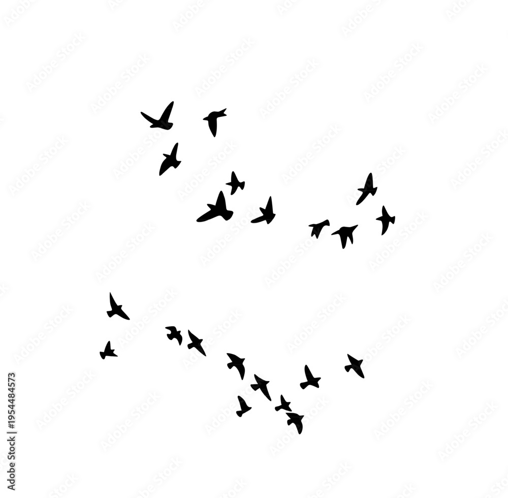 Fototapeta premium Flying Birds Silhouette Flock Freedom Nature Vector Isolated on White Background