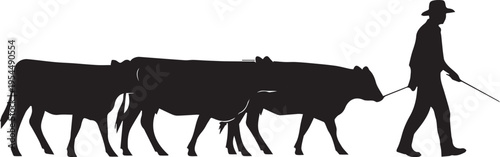 Cattle herder drives cows with stick in agriculture farming vector silhouette illustration