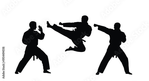 Martial artists demonstrate dynamic moves in a striking silhouette