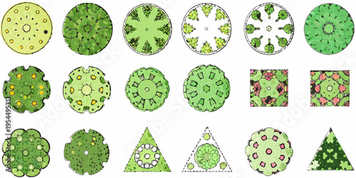 Collection of botanical illustrations depicting various plant cell structures