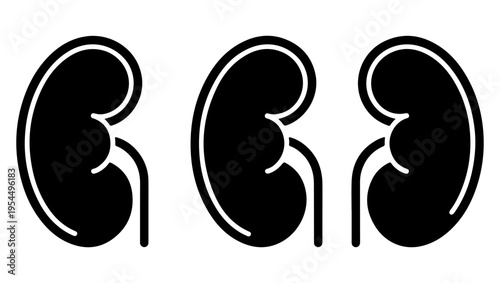 Three stylized depictions of human kidneys in a black and white illustration
